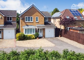 Thumbnail Detached house for sale in Fountains Place, Eye, Peterborough