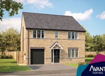 Thumbnail Detached house for sale in "The Bilbrough" at Land Off Round Hill Avenue, Ingleby Barwick