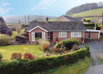 Llanidloes - Bungalow for sale