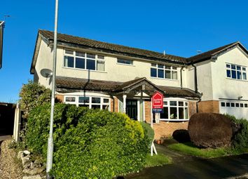 Property listing in Mold, Flintshire