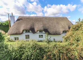 Thumbnail Cottage for sale in Up Somborne, Stockbridge, Hampshire