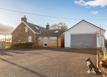 Thumbnail Commercial property for sale in Kennels &amp; Cattery, Crieff, Madderty