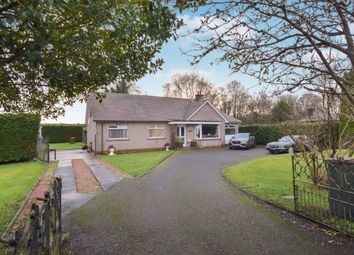 Thumbnail Detached bungalow for sale in Meigle Road, Alyth, Blairgowrie