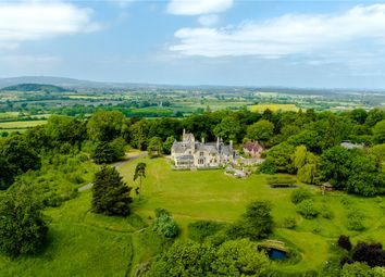 Aerial Of Grounds