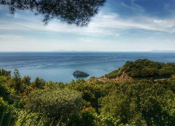 Thumbnail 7 bed property for sale in Monte Argentario, Umbria, 053016, Italy