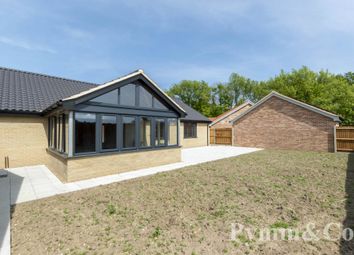 Thumbnail Detached bungalow for sale in Kingfisher Close, Caistor St Edmund