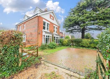 Thumbnail Detached house to rent in 55 Stein Road, Southbourne