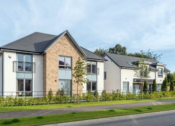Thumbnail 5 bedroom detached house for sale in "Mallaig" at Cammo Grove, Edinburgh