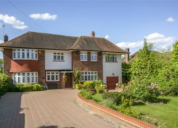 Thumbnail Detached house for sale in Beech Hill, Barnet