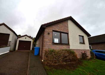 Thumbnail Detached bungalow to rent in Feddon Hill, Fortrose