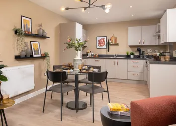 Showhome Photography