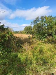 Thumbnail Land for sale in E, Myakka City, Florida, 34251, United States Of America