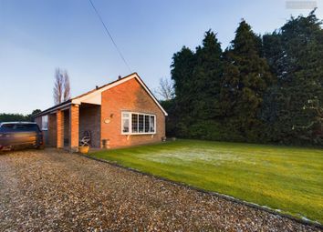 Thumbnail Detached bungalow for sale in Hall Lane, Benington