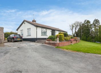 Ballynahinch - Property for sale