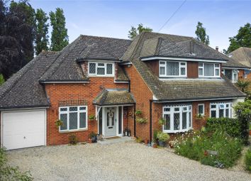 Thumbnail Detached house for sale in Post Office Road, Woodham Mortimer, Maldon, Essex