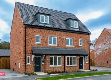Plot 96