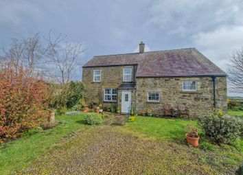 Thumbnail Detached house for sale in South Terrace, Cornsay Colliery, Durham