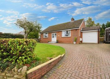 Thumbnail 2 bed detached bungalow for sale in Pilwell, Marnhull, Sturminster Newton