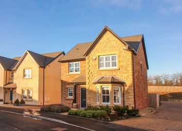 Thumbnail Detached house for sale in Harper Crescent, Longhoughton, Alnwick