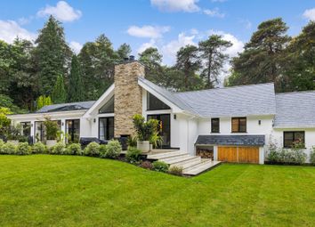 Thumbnail 6 bed bungalow for sale in Long Hill, The Sands, Farnham, Surrey