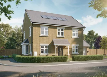 Ds14885 [Bh] The Briar_Plot 17_CGI_Lr_Web