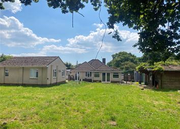 Thumbnail 4 bed bungalow for sale in Pitmore Lane, Sway, Lymington, Hampshire