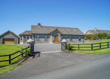 Thumbnail 7 bed detached bungalow for sale in 56 Corbally Road, Dromara, Dromore