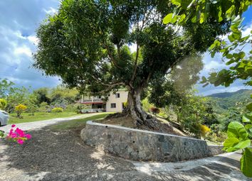 Thumbnail 1 bed detached house for sale in Ans-Rph-S-66811, Anse La Raye, St Lucia