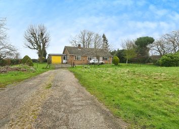 Thumbnail 3 bedroom bungalow for sale in Long Green, Wortham, Diss