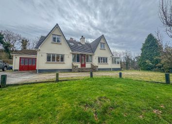 Thumbnail Detached house for sale in Rhenass Road, Kirk Michael, Isle Of Man