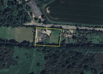 Thumbnail Land for sale in The Street, Takeley