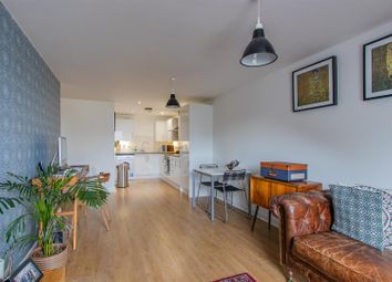Thumbnail Flat to rent in Cathays Terrace, Cathays, Cardiff