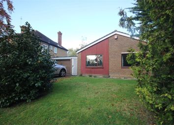 Thumbnail Detached bungalow to rent in Gloucester Road, Herts, New Barnet
