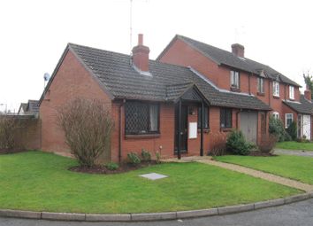 Thumbnail Semi-detached bungalow to rent in St. Michaels Gate, Brimfield, Ludlow