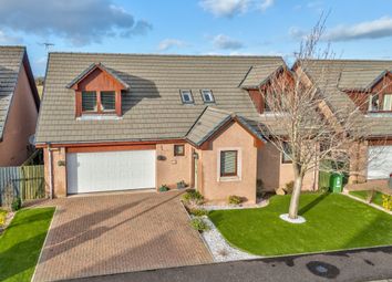 Thumbnail Detached house for sale in Old Mill Place, Friockheim, Angus