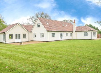 Thumbnail Bungalow for sale in Summer Drive, Hoveton, Norwich