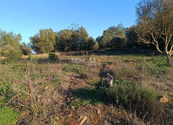 Thumbnail Land for sale in Silves, Silves, Silves