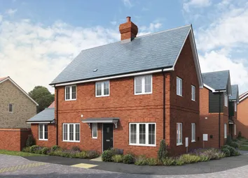 Wivenhoe Gardens, Wivenhoe