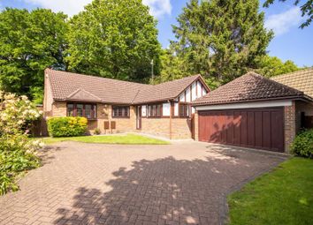 Thumbnail 3 bed detached bungalow for sale in Claire Close, Ingrave Road, Brentwood