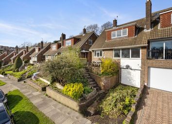 Thumbnail Semi-detached house for sale in Highbank, Brighton