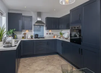 Showhome Photography
