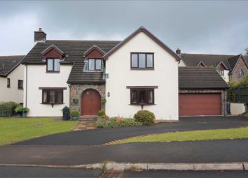 Thumbnail 4 bed detached house for sale in Caeffynnon, Drefach, Llanelli