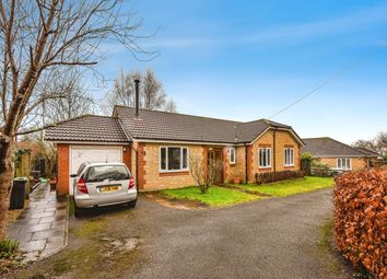 Thumbnail Detached bungalow for sale in Folly Lane, Warminster