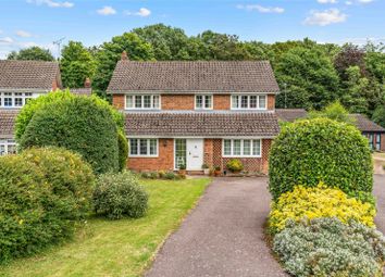 Thumbnail Detached house for sale in Myln Meadow, Stock, Ingatestone