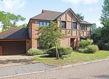 5 Bedroom Detached house for rent