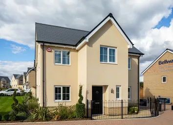 Showhome Photography