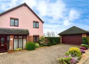 Thumbnail Detached house for sale in Ward Way, Witchford, Ely, Cambridgeshire
