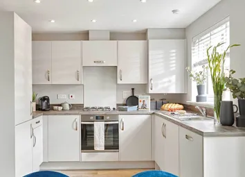 Typical Kitchen
