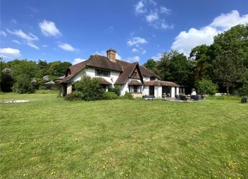 Thumbnail Detached house for sale in Old Broyle Road, West Broyle, Chichester, West Sussex
