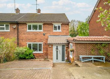 Thumbnail Semi-detached house to rent in Ladies Grove, St. Albans, Hertfordshire